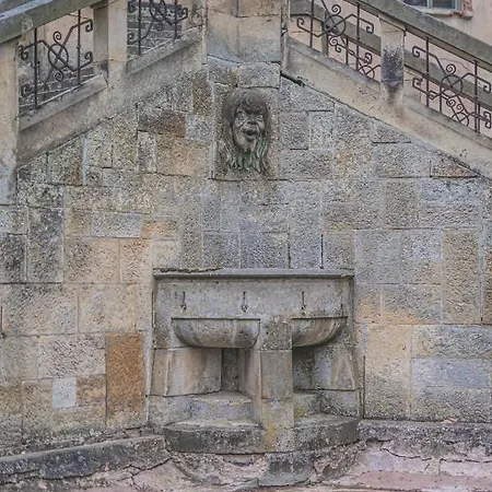 Daire Zamecky Areal *